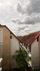 Holland Link (D10), Terrace #472830271